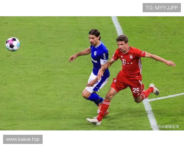 克拉马里奇独造两球霍芬海姆主场3-1力擒海登海姆